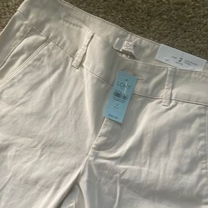 LOFT Pants